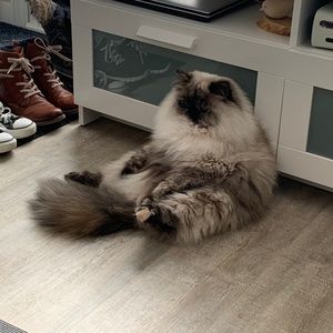 Meet your Posher, Christine